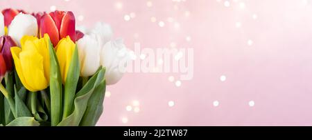 Bel bouquet delicato di fiori di tulipano su sfondo rosa intestazione. Banner Web panoramico con spazio di copia per il design, bokeh. Concetto di vacanze di primavera Foto Stock