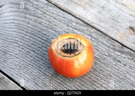 Pomodoro malato di frutta affetta da malattia vertice marciume su sfondo di legno Foto Stock