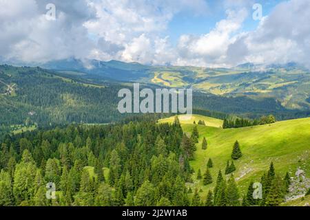 Paesaggio ondulato con prati e foreste nelle Alpi Foto Stock