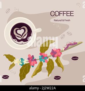 Tazza di caffè biologico tra il ramo fiorente Illustrazione Vettoriale
