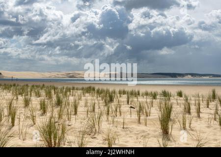 La punta di Cap Ferret (Arcachon Bay, Francia). Vista della duna di Pilat Foto Stock