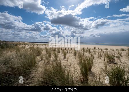 La punta di Cap Ferret (Arcachon Bay, Francia). Vista della duna di Pilat Foto Stock