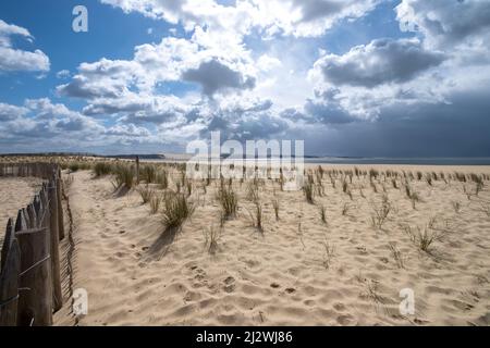 La punta di Cap Ferret (Arcachon Bay, Francia). Vista della duna di Pilat Foto Stock