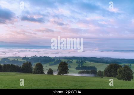 Vista da Auerberg a sud su un nebbia mattina presto autunno, Baviera, Germania, Europa Foto Stock