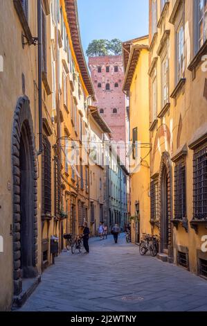 Vicolo con Torre Guinigi a Lucca, provincia di Lucca, Toscana, Italia Foto Stock