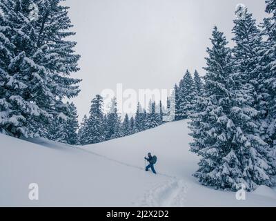 Tour sciistico delle Lacherspitze innevate a Sudelfeld in Baviera, sciatori nella neve tra alberi innevati Foto Stock