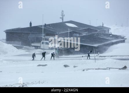 04 aprile 2022, Sassonia-Anhalt, Schierke: Fiasche di neve e raffiche di vento tipo uragano con velocità fino a 140 chilometri all'ora attraversano la cima di Brocken, e i visitatori sono solo poco visibili. Nevicate e nebbia hanno una visibilità fortemente limitata sulla cima di Harz. Il clima tempestoso rimane popolare nei prossimi giorni. Foto: Matthias Bein/dpa Foto Stock