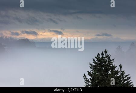 Nebbia sopra Grafling Village, un accenno di St. Andreas Chiesa nella nebbia, bassa Baviera, Germania Foto Stock