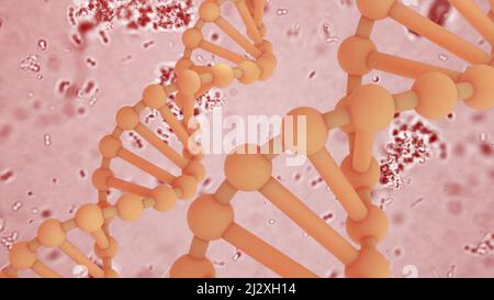 Anatomia del sistema del DNA umano generato dal computer Foto Stock