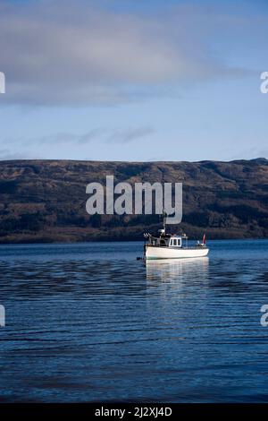 Barca sul Loch Lomond vicino a Luss, Loch Lomond e il Parco Nazionale Trossachs, Argyll, Scozia Foto Stock