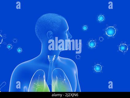 Anatomico 3D illustrazione dell'interno del corpo umano trasparente visto dalla parte anteriore. Evidenziazione dei polmoni. Con i virus intorno. Foto Stock