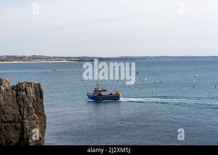 Peniche, Portogallo - 2 aprile 2022: Gabbiani che combattono sul pesce sopra una piccola barca da pesca di ritorno al porto Foto Stock