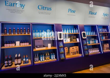 Bottiglie di Bombay Sapphire gin in vendita in mostra a Gin Shop presso la distilleria Bombay Sapphire Gin, Laverstoke Mill, Laverstoke, Hampshire, Regno Unito nel mese di marzo Foto Stock