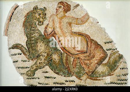 Tunisia, Sousse, museo archeologico, mosaico raffigurante una Nereide su una tigre marina, fine del 2nd secolo Foto Stock