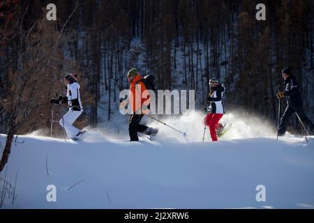 Serre-Chevalier (Alpi francesi, Francia sud-orientale): Gruppo di turisti e guida durante un'escursione con racchette da neve, in montagne medie che circondano il male Foto Stock