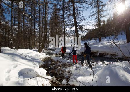 Serre-Chevalier (Alpi francesi, Francia sud-orientale): Gruppo di turisti e guida durante un'escursione con racchette da neve, in montagne medie che circondano il male Foto Stock