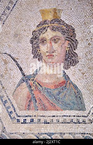 Tunisia, Costa Centrale tunisina, El Jem, Museo di El Jem, mosaico romano, 2nd e 3rd secolo Foto Stock