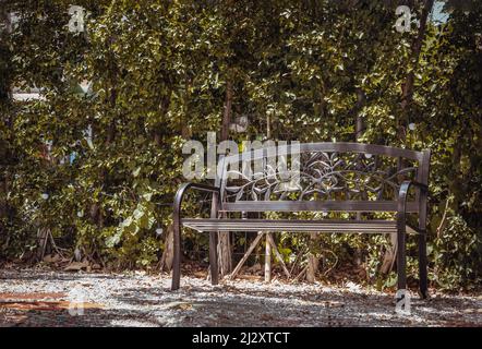 Luce del mattino sulla superficie dello schienale di acciaio nero vuoto in ferro battuto piegato sui ciottoli in un'area ombreggiata della tranquilla area del parco. Posti a sedere e unwi Foto Stock