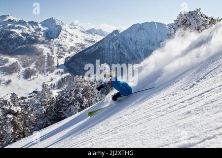 Stazione sciistica di Montgenevre (Alpe Francese, Francia sud-orientale): Donna, sciatore freeride sci in neve polverosa, sci off-pista, sci di fondo Foto Stock