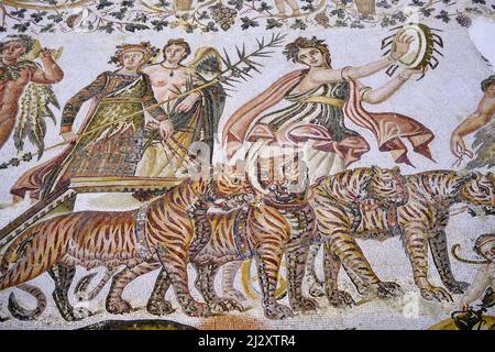 Tunisia, Sousse, museo archeologico, mosaico raffigurante la processione trionfale di Dioniso, inizio 3rd secolo Foto Stock