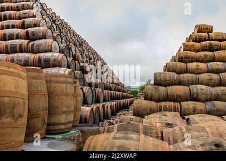 Montagne di barili, piramidi di barili di whiskey usati prima della lavorazione, cooperage di Speyside, Craigellachie, Scozia UK Foto Stock