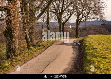 Una strada di campagna di wintry conduce su una collina fra un campo e gli alberi nella Germania fredda Foto Stock