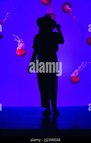 Silhouette di una donna con meduse dietro Foto Stock