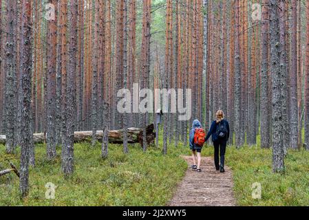 Madre con figlio escursioni nel Parco Nazionale di Patvinsuo, Finlandia Foto Stock