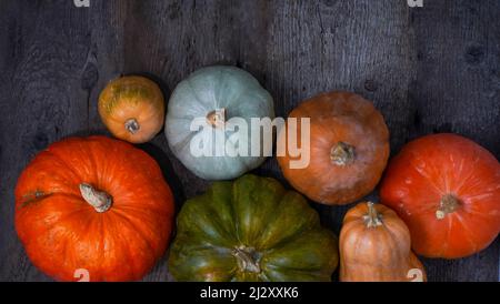 Set di diverse zucche su vecchio sfondo di legno. Varietà diverse. Zucca arancione, verde e grigia. Raccolta autunnale. Halloween e Thanksgiving cibo. Foto Stock