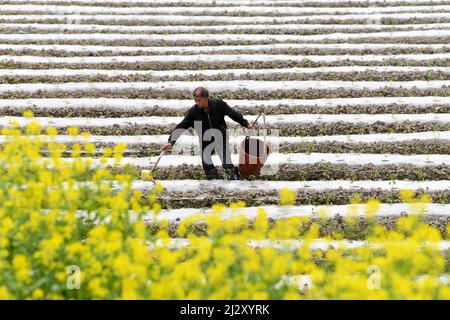 Lianyungang, provincia cinese di Guizhou. 4th Apr 2022. Un villager lavora nei campi della Contea di Yuqing di Zunyi, provincia di Guizhou della Cina sud-occidentale, 4 aprile 2022. Man mano che la temperatura aumenta gradualmente nel periodo del Qingming Festival, le attività agricole sono in pieno svolgimento in tutto il paese, dal nord al sud. Credit: He Chunyu/Xinhua/Alamy Live News Foto Stock