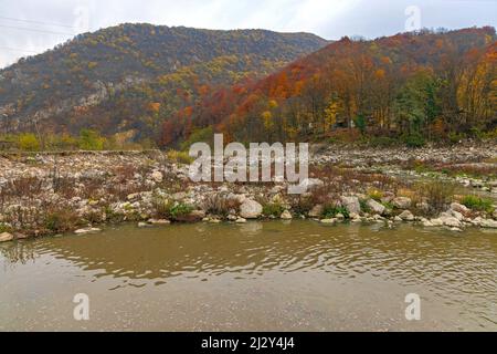 River Stream Bed rurale Serbia natura colori di autunno Foto Stock