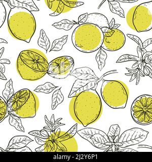 Ripetizione senza giunture dei limoni dello schizzo. Sfondo di frutti di limone, foglie e fiori incisi a mano. Citruses con modello spot giallo per tessuto, carta, w Illustrazione Vettoriale