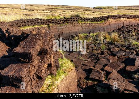 Torba, taglio di torba, torba cagliata, zolla, isola di Lewis, Outer Hebrides, Scozia, Regno Unito Foto Stock