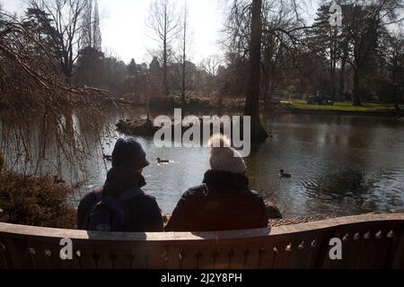 coppia seduta su panchina con vista lago wisley surrey inghilterra Foto Stock