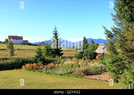 Paesaggio al Pasul Tihuta in Romania in autunno Foto Stock