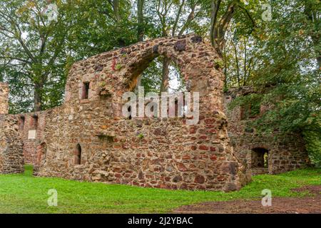 Le rovine della chiesa del monastero di Nimbschen, un'ex abbazia cistercense vicino a Grimma nel distretto sassone di Lipsia sul fiume Mulde in Germania. Foto Stock