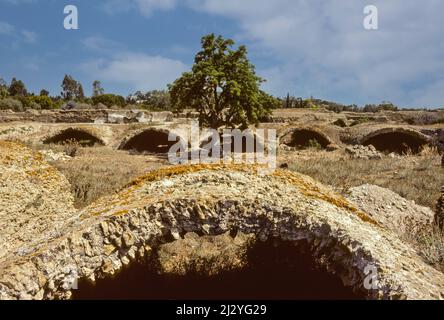 Cartagine, Tunisia. Cisterne di epoca romana di Malaga (La Malga). Quindici di cisterne detenuto romano di Cartagine approvvigionamento di acqua, portato da acquedotto da Zaghouan, 30 miglia a sud. Foto Stock