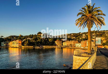 San Michele di Pagana alla luce del mattino, Liguria; Levantine Riviera, Italia Foto Stock