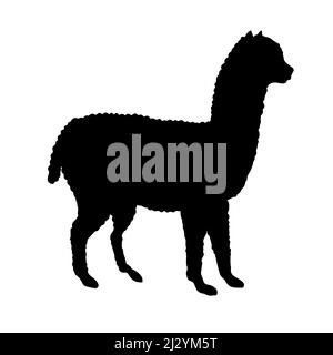 Vector flat nero alpaca lama silhouette isolata su sfondo bianco Illustrazione Vettoriale