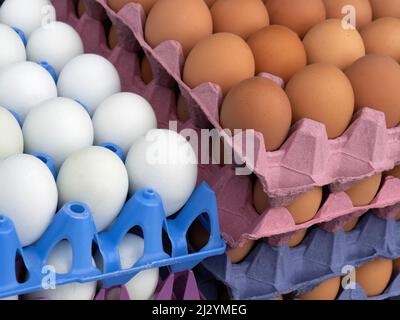 Uova di colore marrone e bianco sul mercato stalla, Inghilterra, Regno Unito. Fattoria fresco. Foto Stock