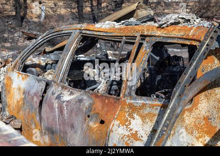 Louisville, Colorado - i resti dopo il fuoco di Marshall, il più distruttivo incendio selvatico del Colorado, che ha distrutto 1.000 case nel dicembre 2021. il fi Foto Stock
