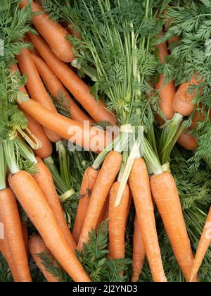 Carote fresche con foglie verdi in stalla di mercato. Foto Stock