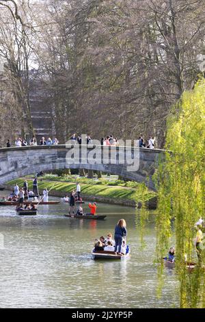 Cambridge Punting; persone che puniscono sulle spalle del River Cam da Kings College Bridge in una giornata di sole in primavera, Cambridge Regno Unito Foto Stock