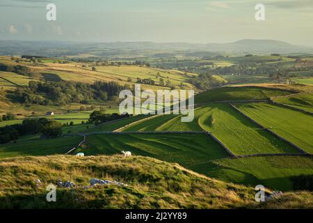 Vista su una valle vicino Malham in Yorkshire Dales Foto Stock