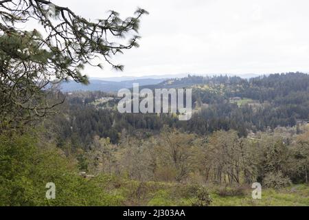 Vista verso sud dalla cima del Wild Iris Ridge a Eugene, Oregon, Stati Uniti. Foto Stock