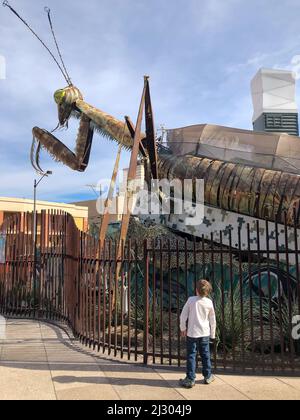 Downtown Container Park, Las Vegas, Nevada, US - 1,2020 - scultura in metallo di preghiera Mantis con un bambino in piedi di fronte. Foto Stock