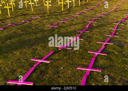 Croci fissate al suolo in onore di quelli uccisi dal covid-19. Salvador, Bahia, Brasile. Foto Stock