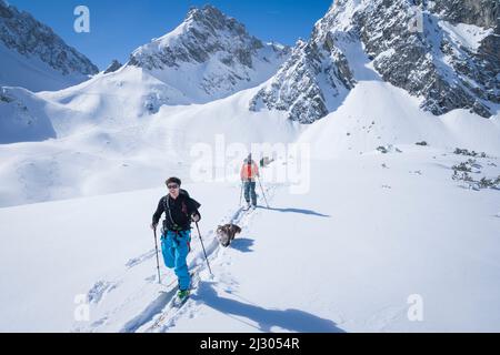 Gli sciatori con un cane tirano una pista di salita nella neve profonda al Tajakopf in Ehrwald, cielo blu con il sole Foto Stock