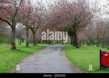 Giardini botanici di Wavertree Foto Stock