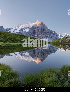 Wetterhorn a Hornseewli, Grosse Scheideck, Grindelwald, Oberland Bernese, Svizzera Foto Stock